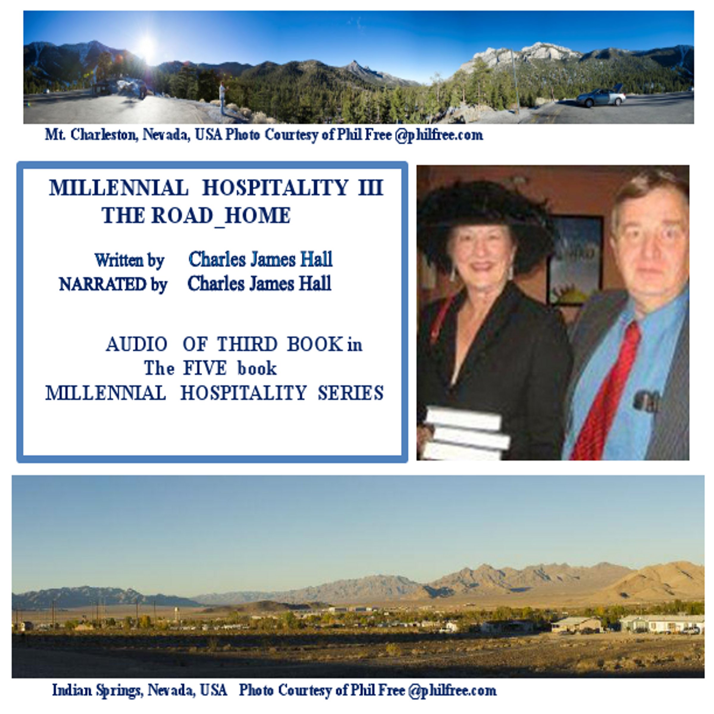 Millennial Hospitality III Audio  Book Cover