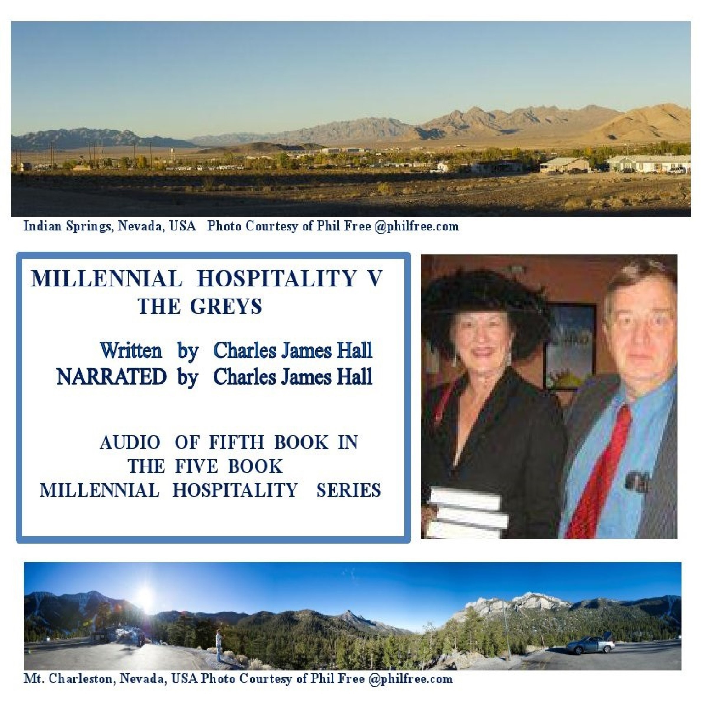 Millennial Hospitality V Audio  Book Cover