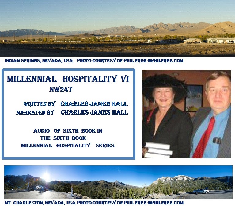Millennial Hospitality VI Audio  Book Cover