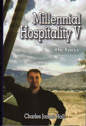 Millennial Hospitality V - The Greys Book Cover