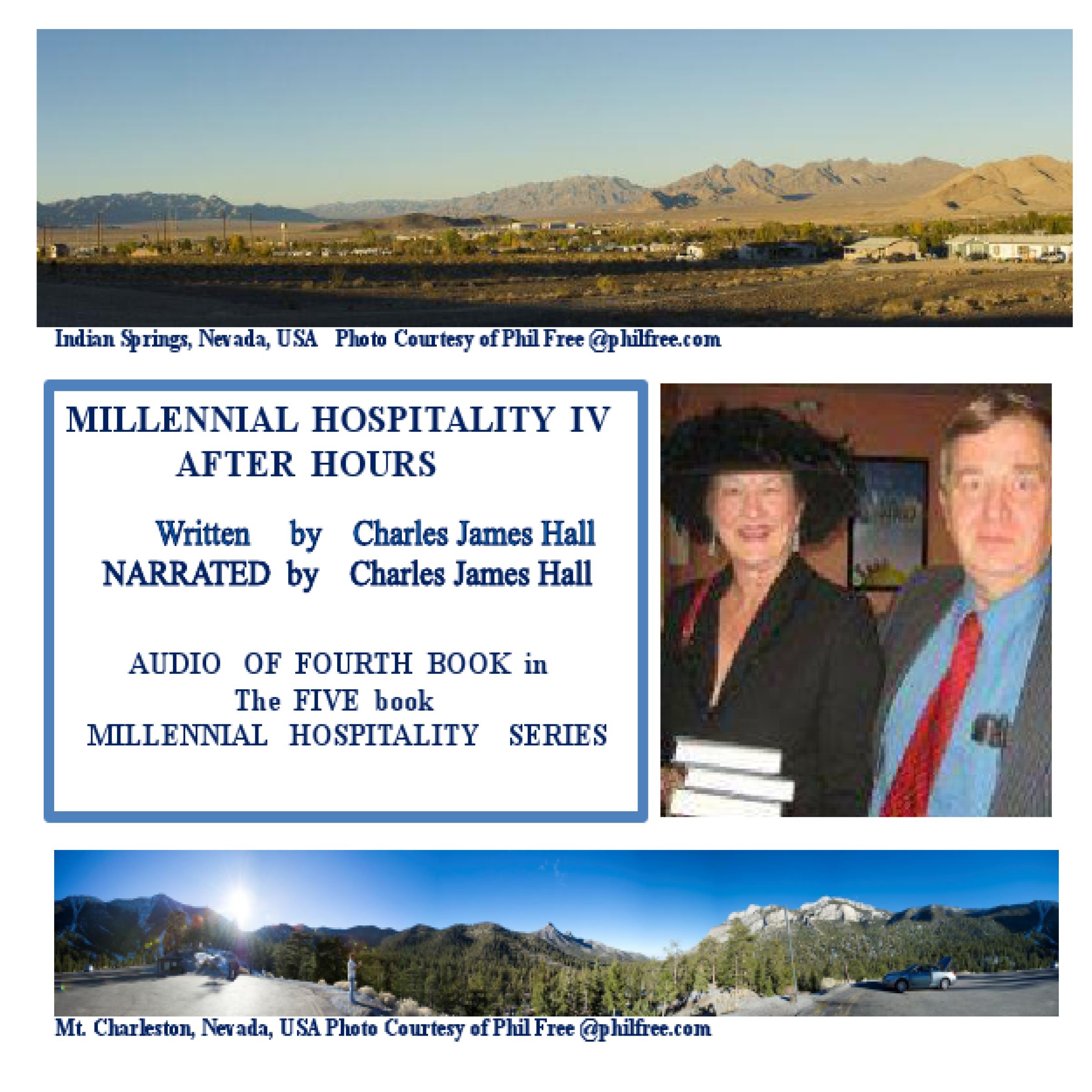 Millennial Hospitality VI Audio  Book Cover